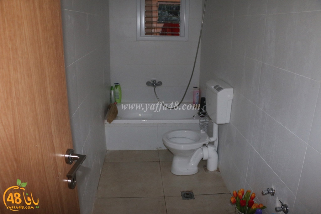 tarmeem botyiyu (7).JPG